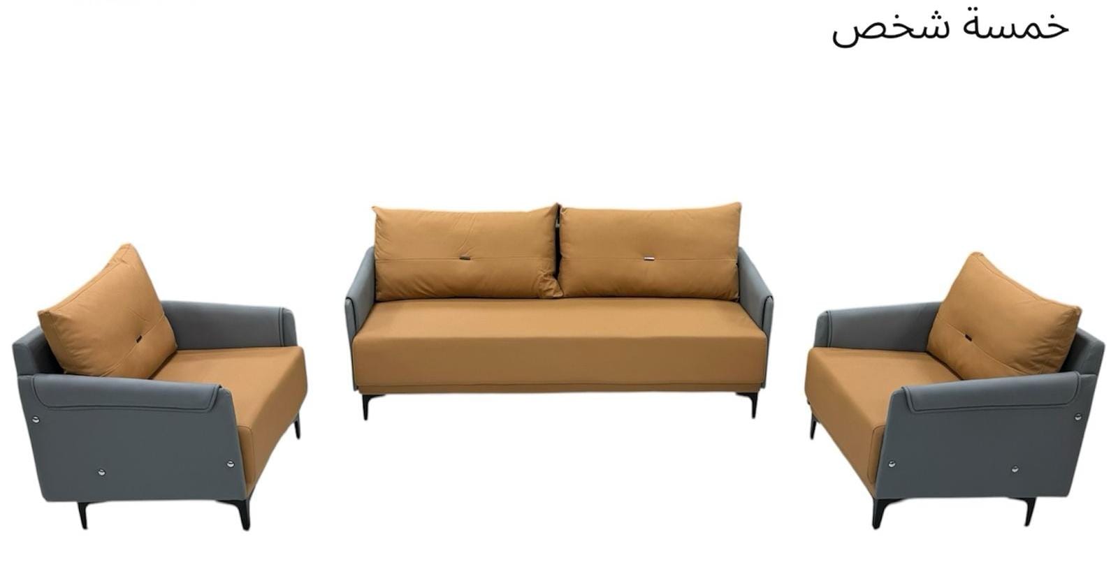 Modern Two Tone Living Room Sofa Set